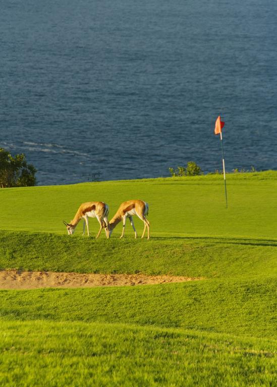 Mossel Bay Golf Lodge Kültér fotó